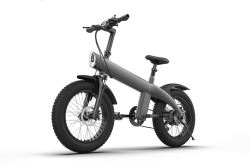 Invige ES2 750W Electric Bike: Power, Style, and Convenience