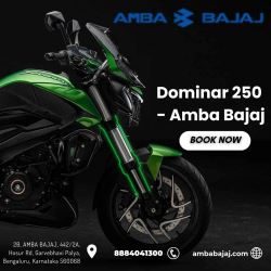 Dominar 250