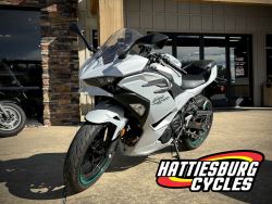 2024 Kawasaki Ninja® 500 ABS | Hattiesburg Cycles